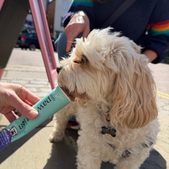Dog Ice treats available!!